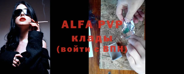 спайс Бородино