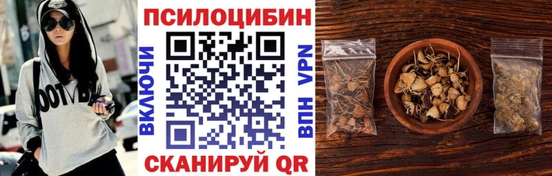 Псилоцибиновые грибы Psilocybe  Верхотурье 